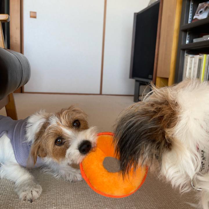 E1bf90d3 083a 4674 83d8 96219718b73c 1767448178685