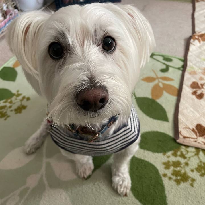 E1bfcdd2 bdaf 4ac7 a679 c6a2fb2aaad3 1699675916254