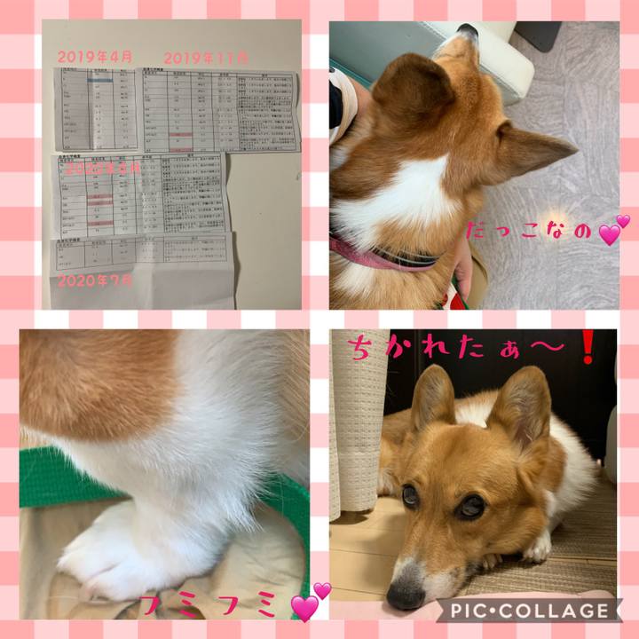 E1bfe70a 34cf 430c 92de b38d589d29f7 1594102364151