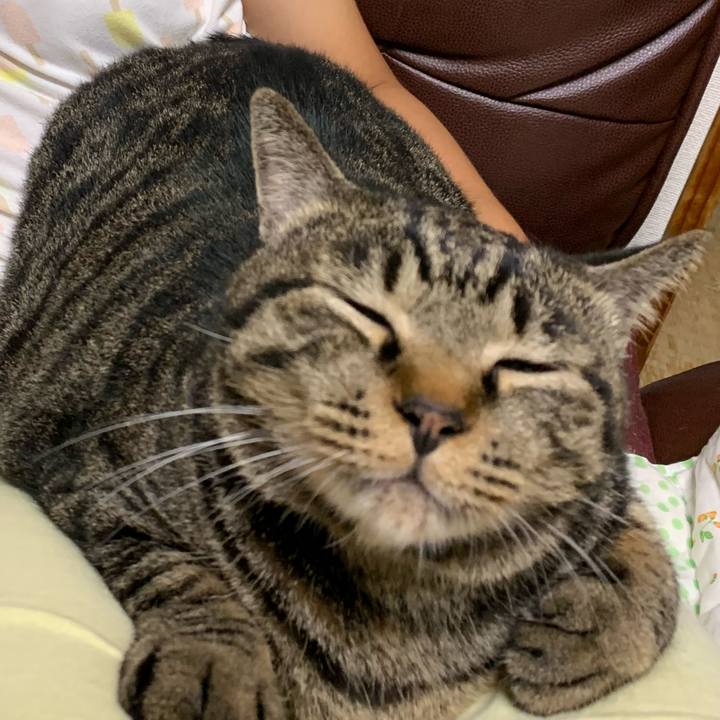 E1bfec5f e7d4 438d 9de7 dd30d7dbd5cb 1599964643535