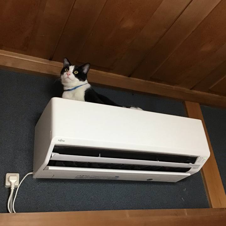 E1bff671 6aad 4a54 a56b 7a792fd03b33 1658221608019