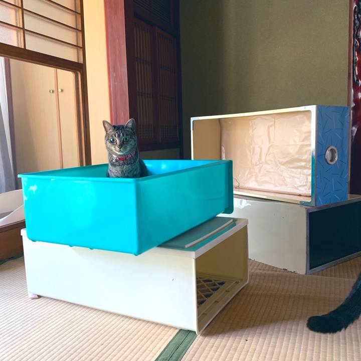 E1c007bd 77b2 44da b358 8ea16d9a1761 1556266742493