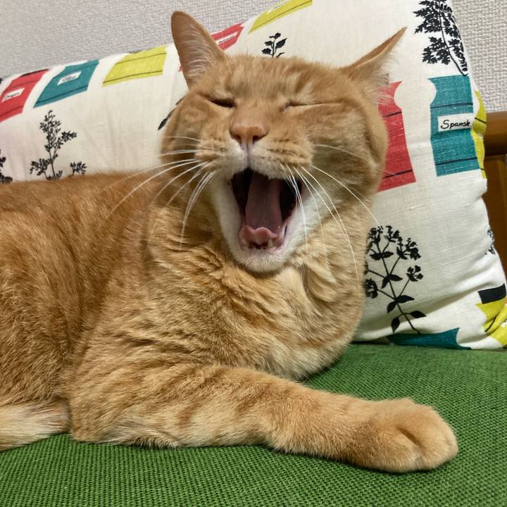 E1c00e10 fa68 4223 8f66 012cbd3ae5d9 1756388116380