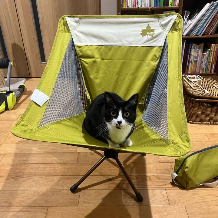 E1c04457 894d 4f53 818d 95b79d5b934a 1728118619569