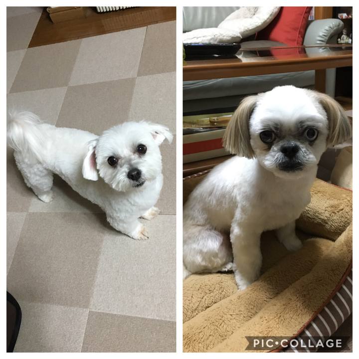 E1c05374 c86f 44e9 905b c648e5218b11 1548497303554