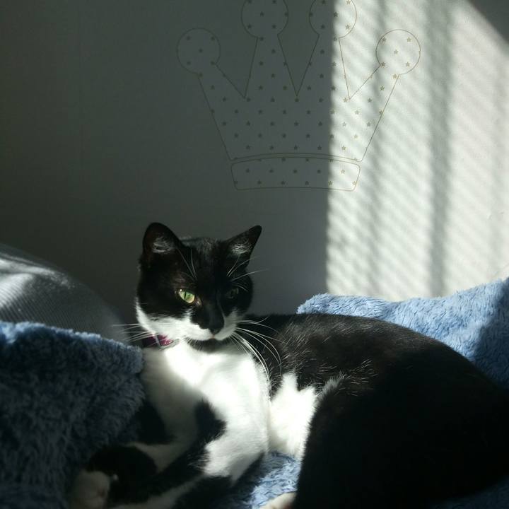 E1c0633b f18e 4114 935d e58ffa36cd71 1532008876463