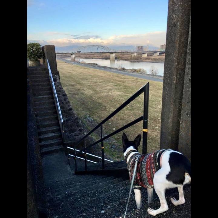 E1c06406 fce3 44a1 9dd4 f01648e1ac54 1673046255628