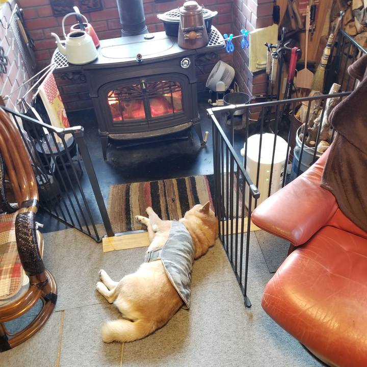 E1c07113 7f74 4a5f bc2a a303b03ffc6d 1644965529324