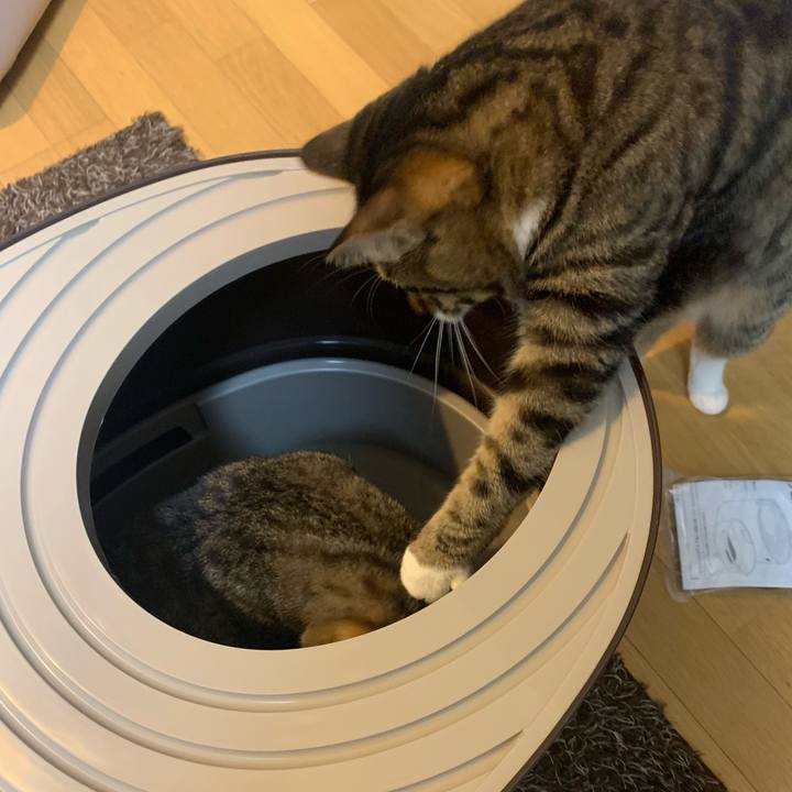 E1c08fd5 53af 4769 89ab f5b2461364b6 1573242376146