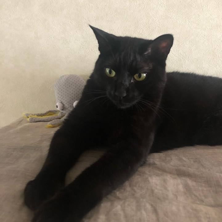 E1c0bb57 bece 4f83 81d0 0226edaec07f 1563586915946