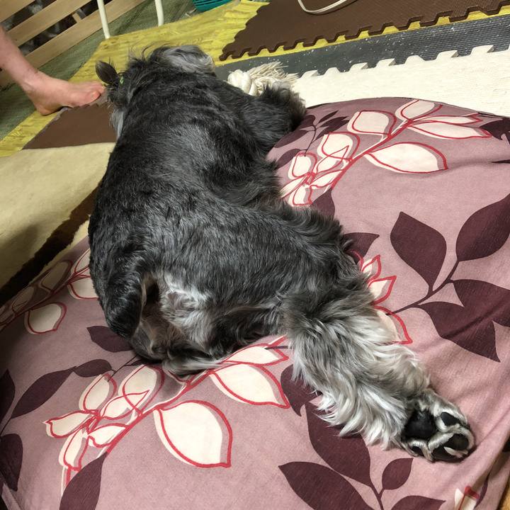 E1c1386c bffb 486d 9b35 22e9c70ad77b 1526987034406