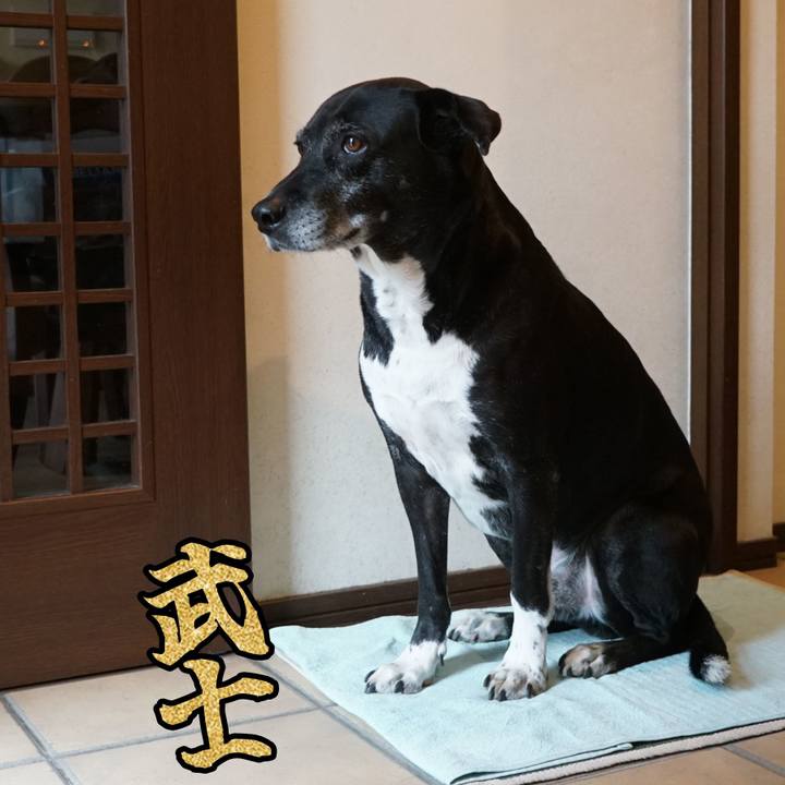 E1c18284 0be3 4b81 99c0 202a2fcf2786 1763599867974