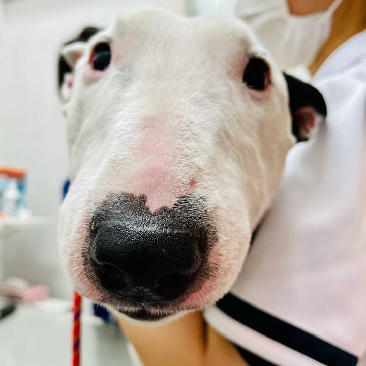 E1c1dbbb ef0a 40a1 a6f5 e69afe8ea062 1621308390264