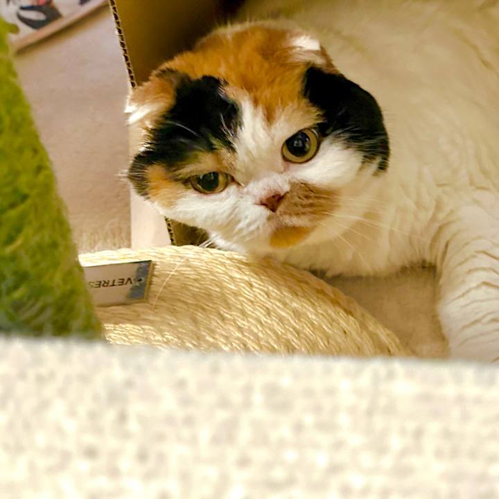 E1c20408 ab5e 4d47 91d3 4e7a6128ce16 1710233682252