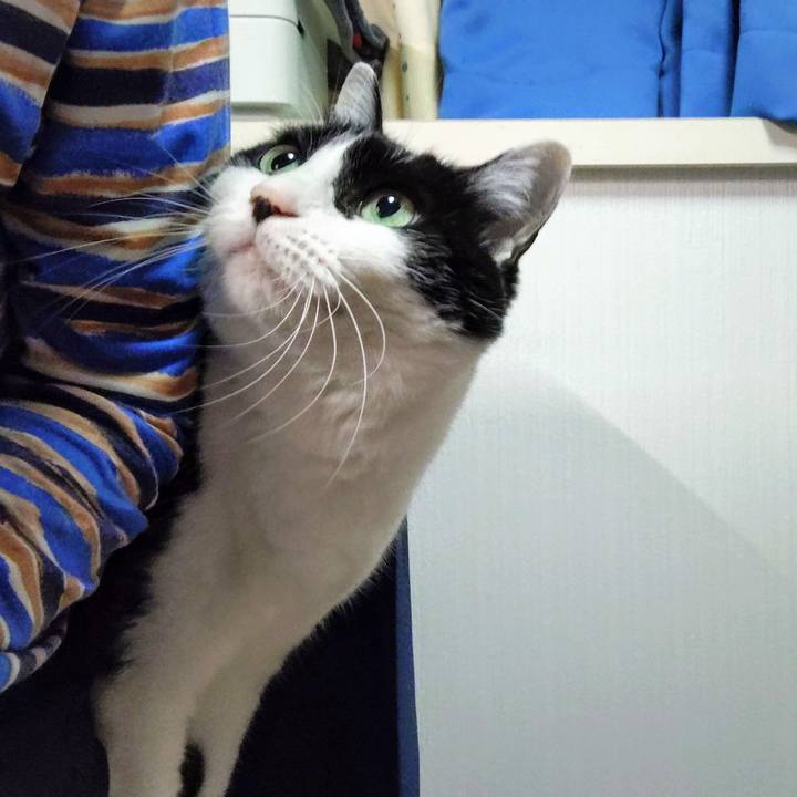 E1c22d4b 4e53 464a bb56 15abe0493ee0 1761916758412