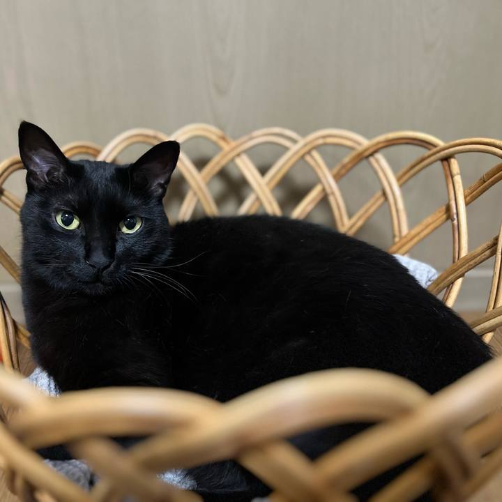 E1c2303b bc7d 4143 a004 4b3a67b36b91 1717507165198