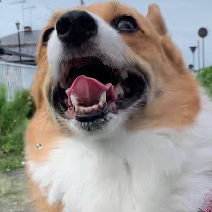 E1c232ff f230 46e3 8ba4 1063876f446c 1662250229837