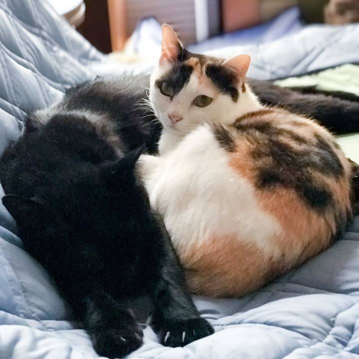 E1c29312 cb05 4558 aaab 7f8d54ae70e0 1530796737660