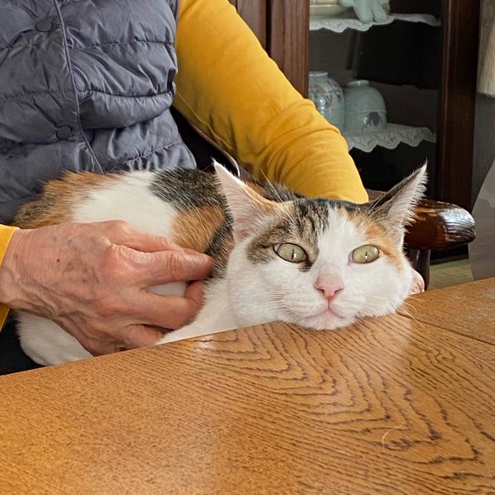 E1c2b49d 398a 42c0 a02a 69ba18d26635 1768356466831