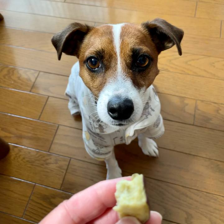 E1c2cb5a 9afc 489a 8437 02873741f2d8 1634946095367