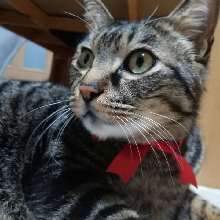 E1c2ccf1 6062 4baa a3e1 538be8dd343d 1549885397189