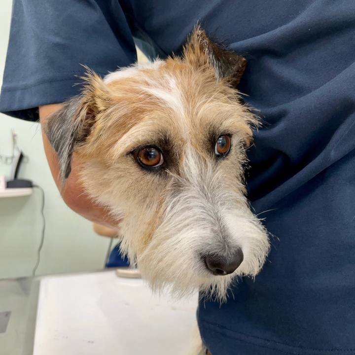 E1c2cfeb e48b 4d8c 96df 4b79a1d6203a 1690801710903