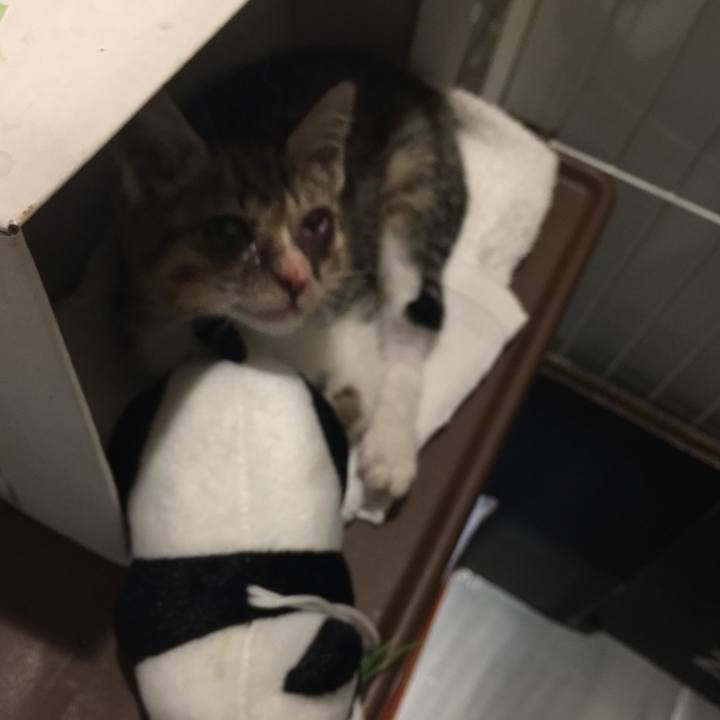 E1c30baf 5bc6 40be bdbc 2b61ad3edfb9 1533623084914