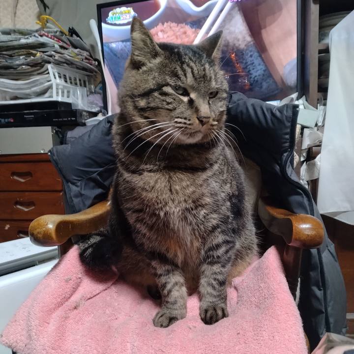 E1c31622 03ca 471b aed3 b1177662a9fe 1706306546700