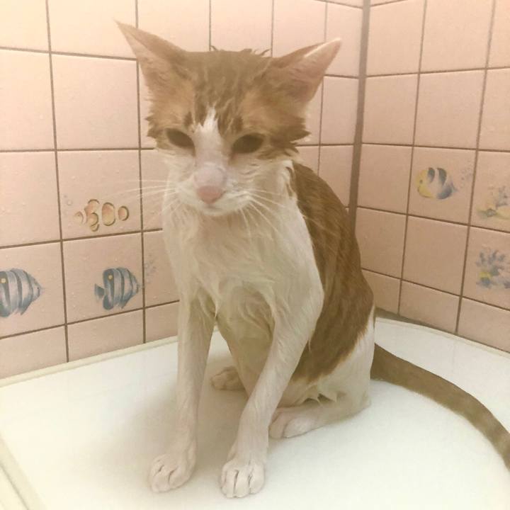 E1c35658 001e 46b8 9827 e50784c397e5 1539157305438