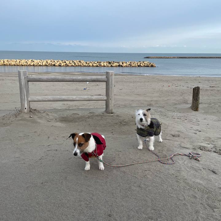 E1c372b8 d970 4a19 abe6 2650cf613437 1675467006097