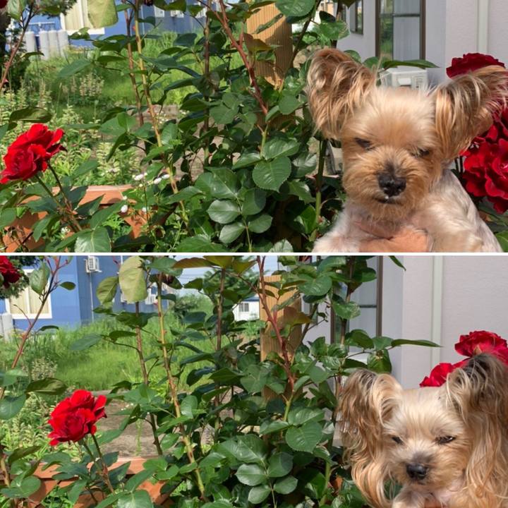 E1c39b40 d1e4 4ca9 b46f 1134e7c99bd4 1657188572337