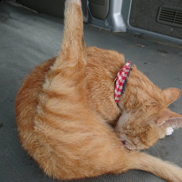 E1c3c1b0 926a 4923 8587 4f2b10b6f66b 1559981657790