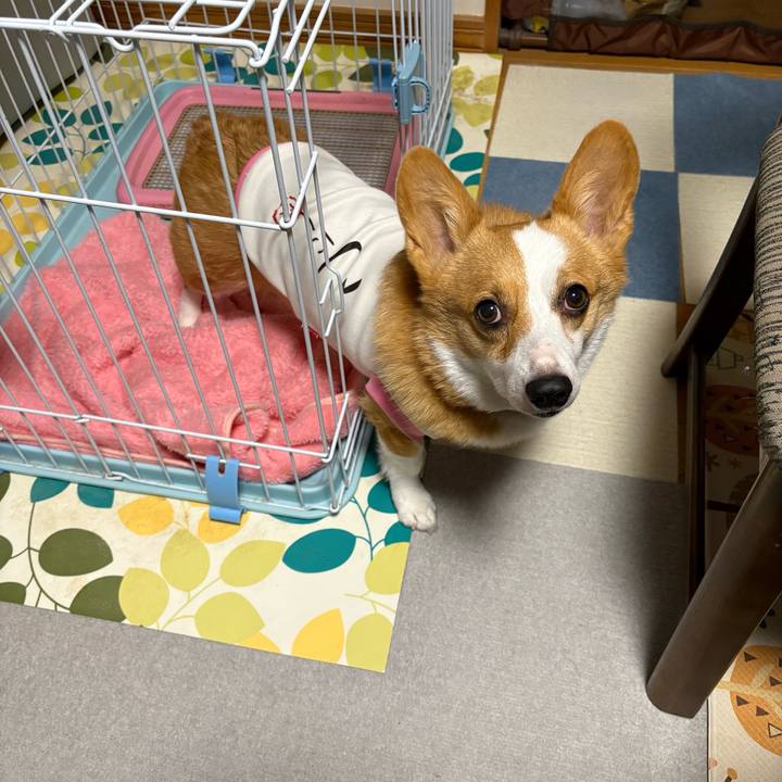 E1c41227 5ee2 4413 b42c 817604a60c7d 1772963320201