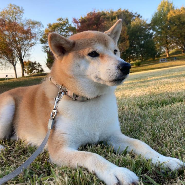 E1c44302 1839 424a b82a 9cb4e28b7e9d 1698822183379