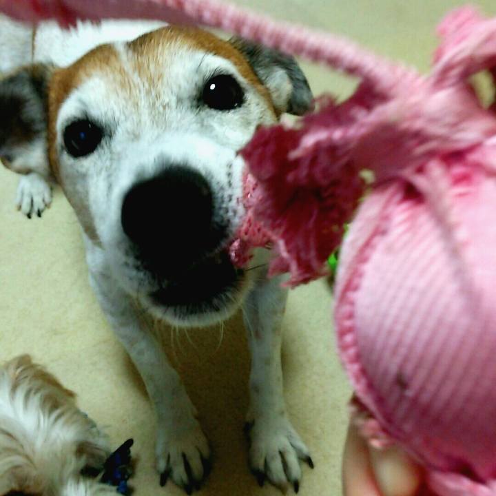 E1c45c9f b67d 48d2 a152 8b7c86e54038 1512264104761