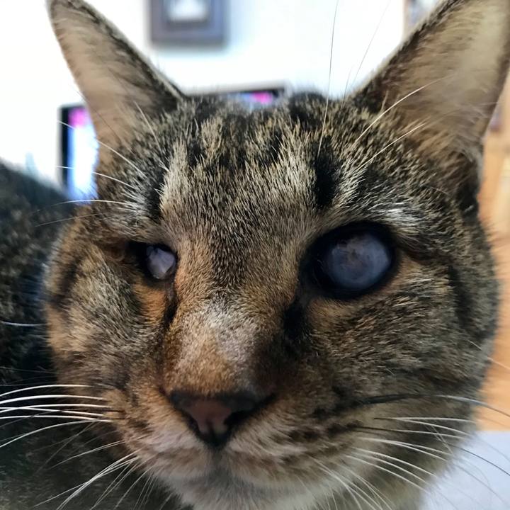 E1c45e04 7012 4b4f 9082 089a1b830fdf 1540555751618