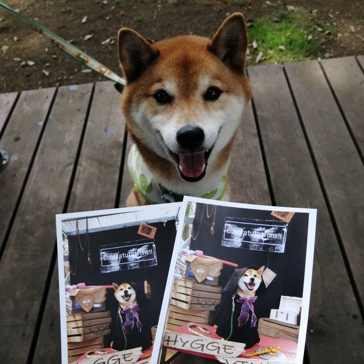 E1c46041 f9e9 4165 b0c0 ccf854b3f581 1685200112437