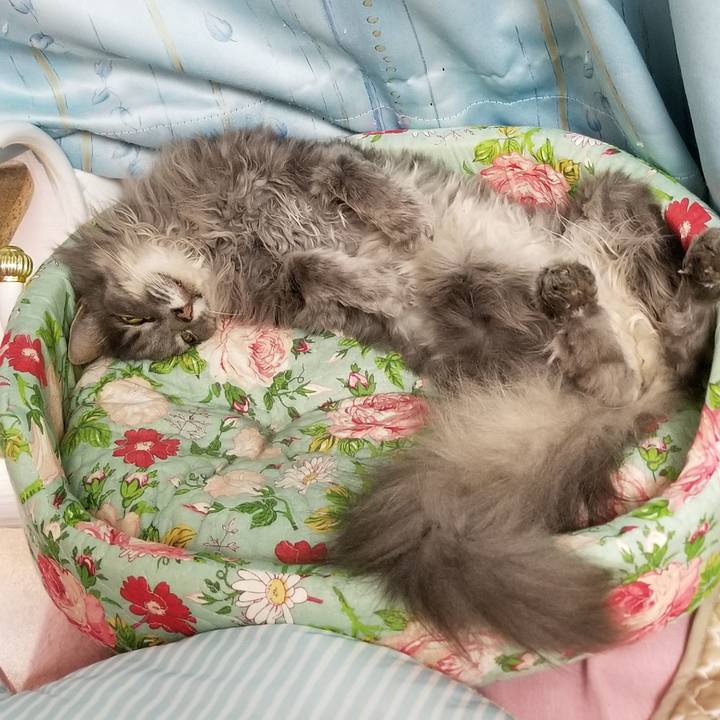 E1c4830f aa52 41dc b7dc e2ae0396ba0e 1597797018636