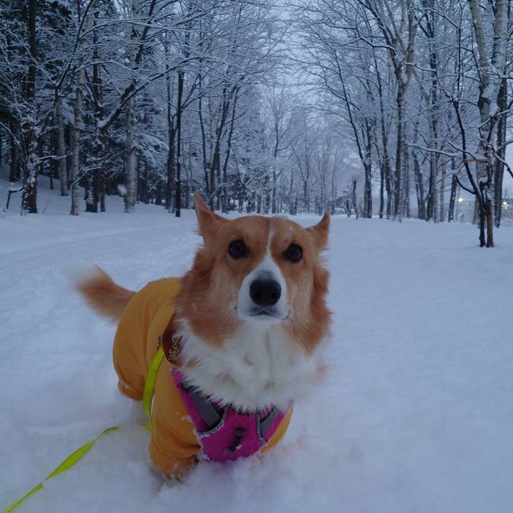 E1c496fe 7123 4616 a5b5 79f4998adbf9 1765407989528