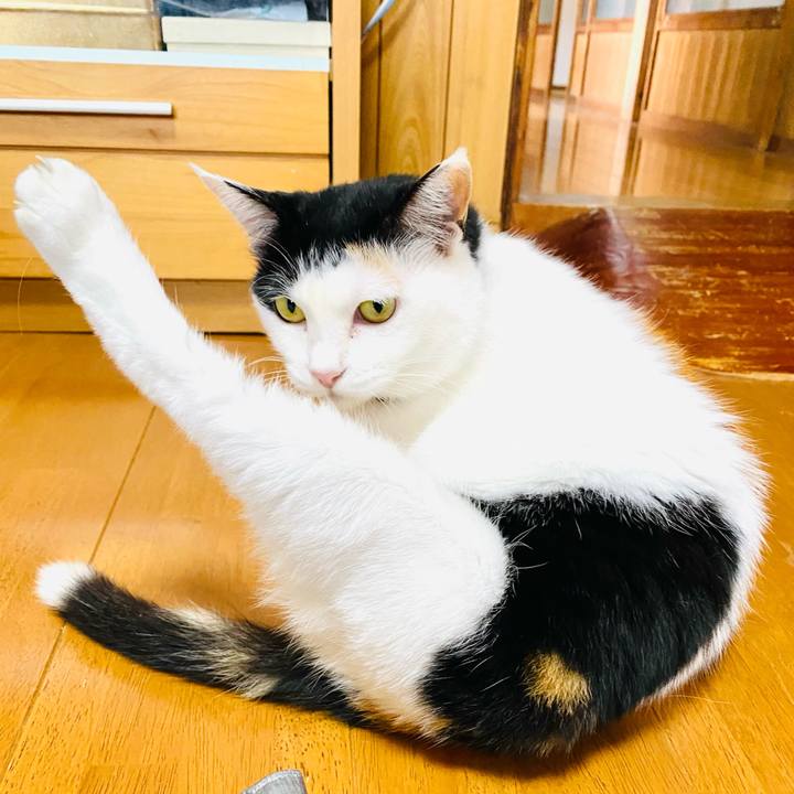 E1c52a0e 20c4 4daf a60c 88a4cebffd17 1684682323192