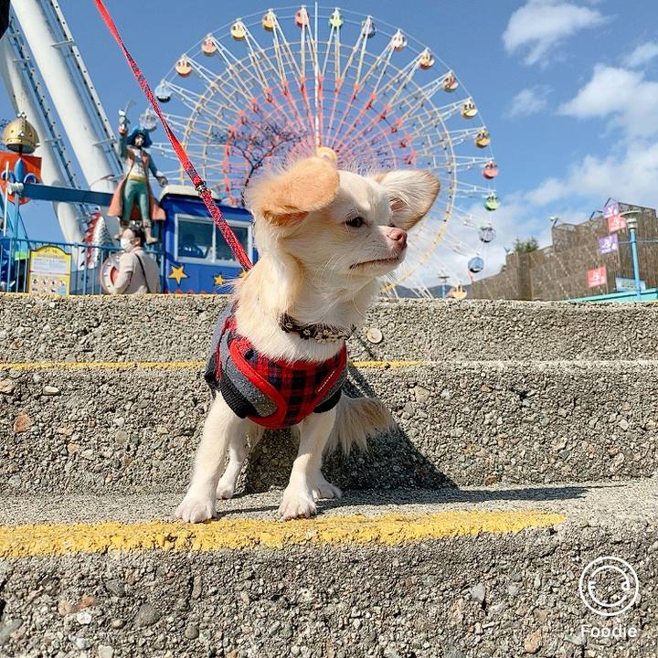 E1c5595a 951c 4d68 bd8a b05e6775d54e 1604399492750