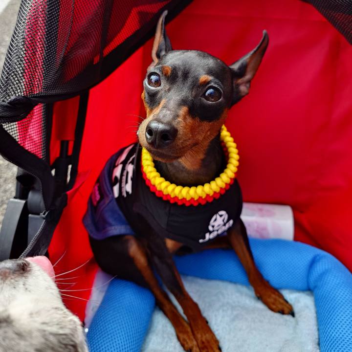 E1c564bd 3c48 4de1 bfa7 89666e72a5ac 1759488354840