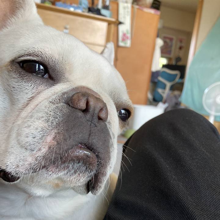 E1c57b57 76ea 4bd2 8375 1953e1f3b0c8 1720083990719