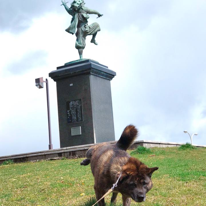 E1c5bb8c 21b7 4c75 b690 67b6da16ccf9 1554008127826