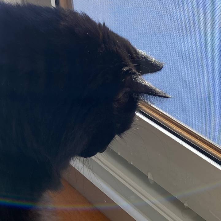 E1c5e0b6 7150 4c2d 9c28 d184b033815b 1609641109354