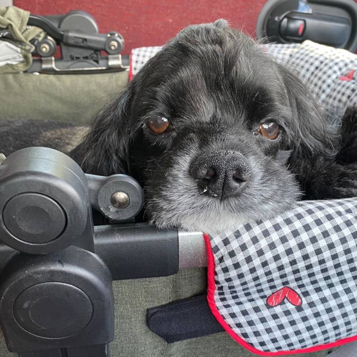 E1c5ee78 1ea0 4e7f a6cc db144200258a 1698151856274