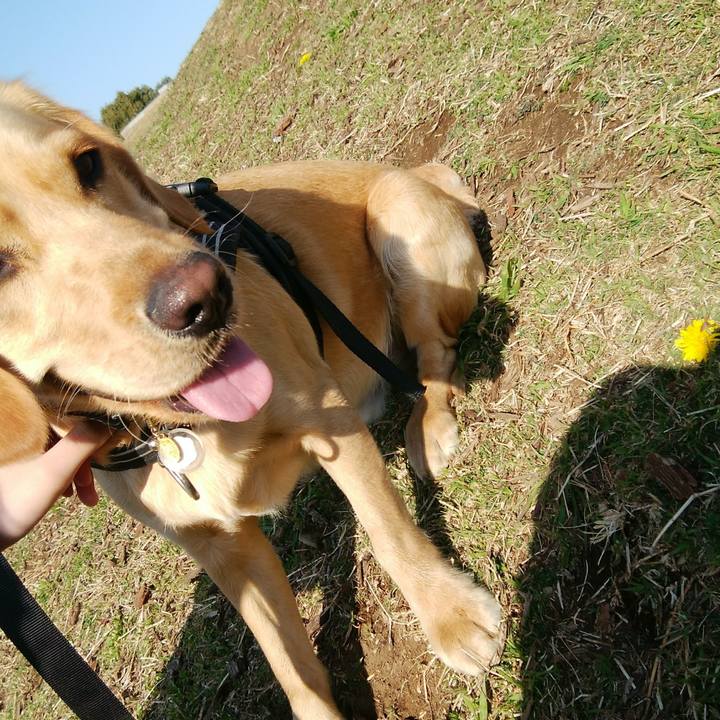 E1c60d05 6fef 49b9 ae27 e2ca9d8dabff 1516502378116