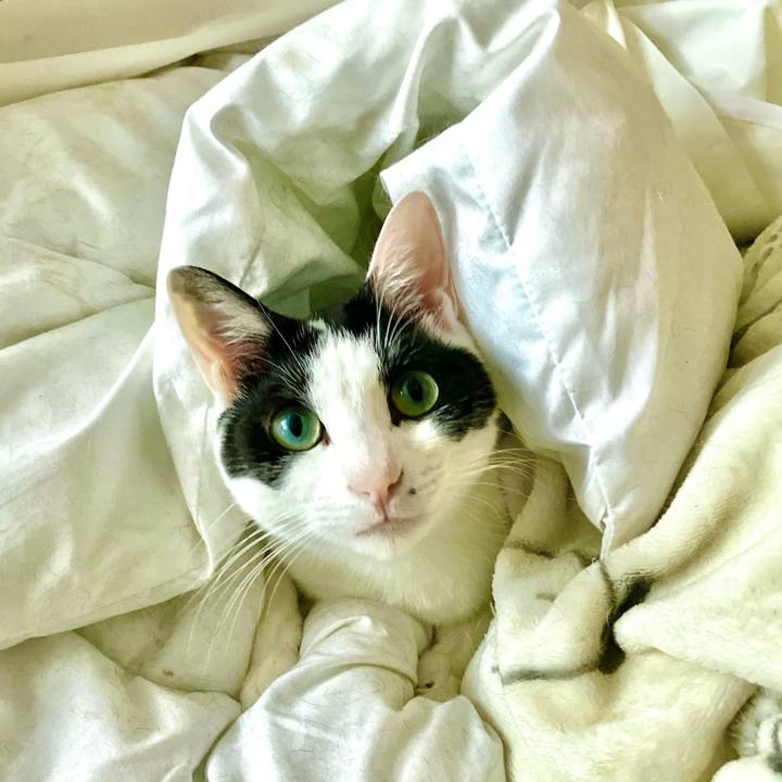 E1c63170 9f9f 4c0b 8fe8 194f8a7038a1 1732518119046