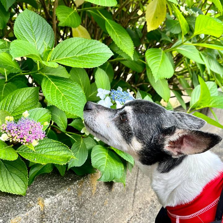 E1c64704 440c 4348 a670 a719360108ac 1653430057341