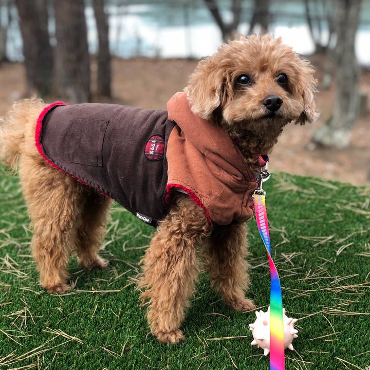 E1c64e44 56fa 4603 9c90 098e31df7902 1547134085065